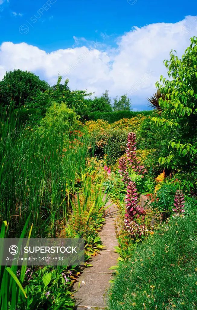 Talbot Botanic Gardens, Co Dublin, Ireland, Path through a garden