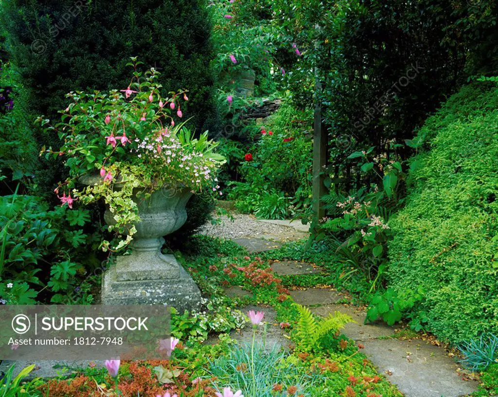 Ram House Gardens, Co Wexford, Ireland, Path through a garden