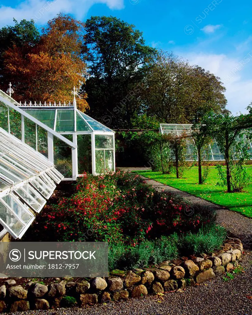 Coolcarrigan, Co Kildare, Ireland, Glasshouse and herbaceous border during Autumn