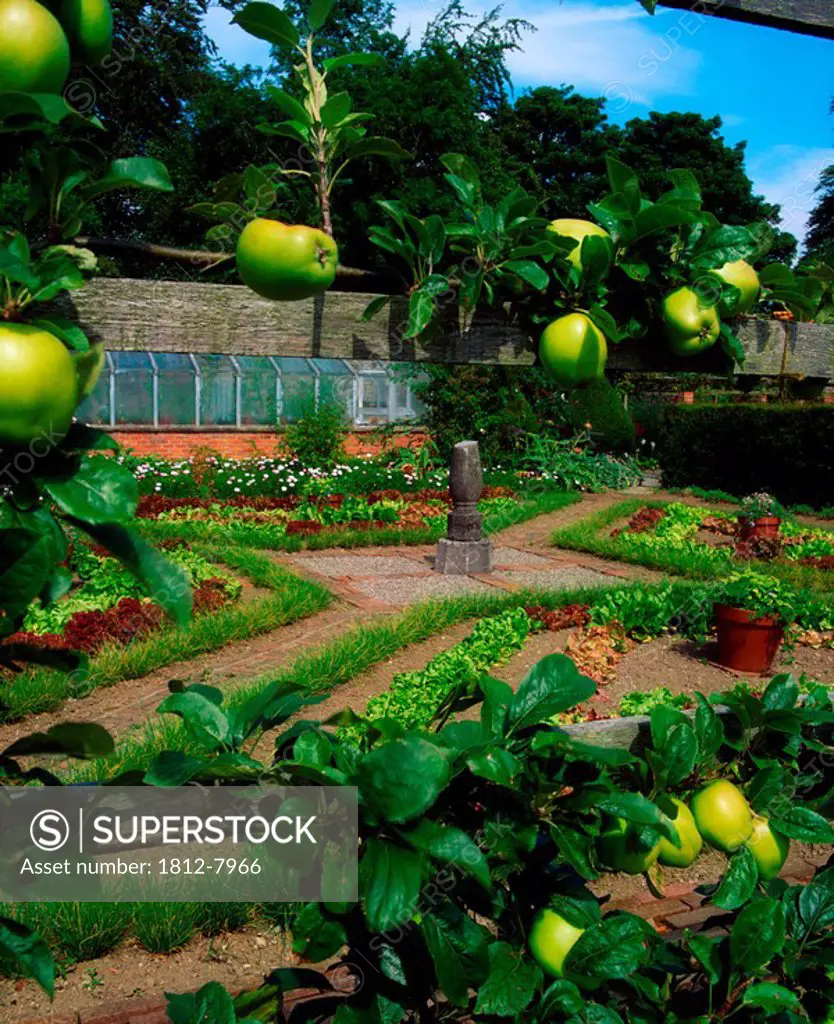 Lodge Park Walled Garden, Co Kildare, Ireland, Garden through espaliered apples