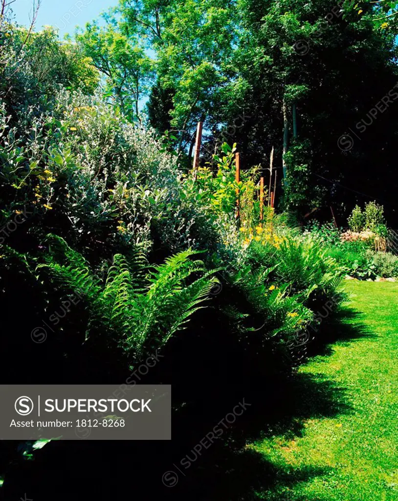 Valclusa Gardens, Co Wicklow, Ireland, Butterfly garden including Ferns and Senecio