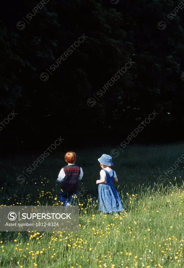 Ireland, Children in a field