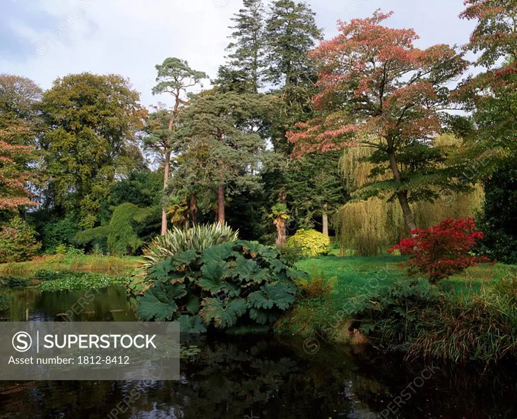 Fota Arboretum, Fota House and Gardens, Fota Island Co Cork, Ireland