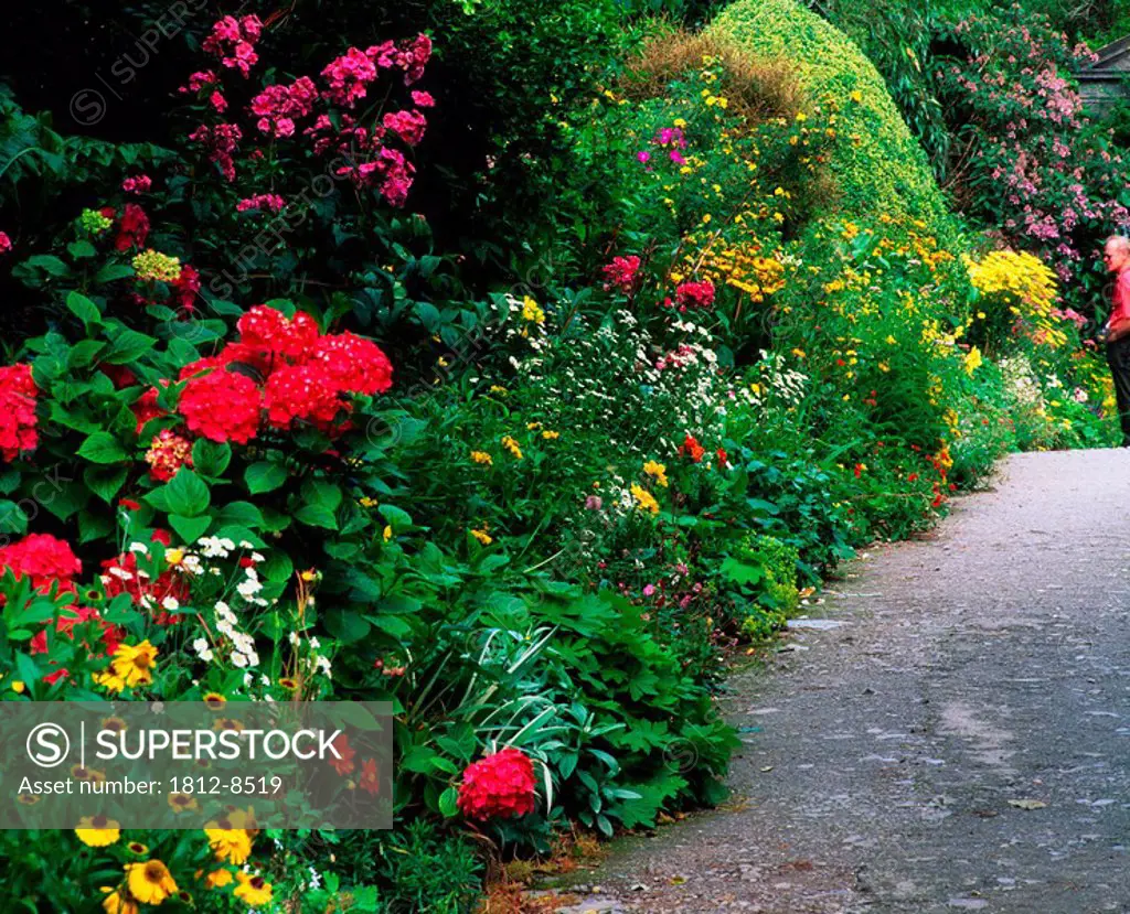 Illnacullen, Co Cork, Ireland, Herbaceous Border in a walled garden during summer