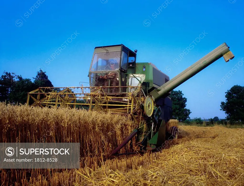 Combine Harvester in an Oat field, Harvester in a field