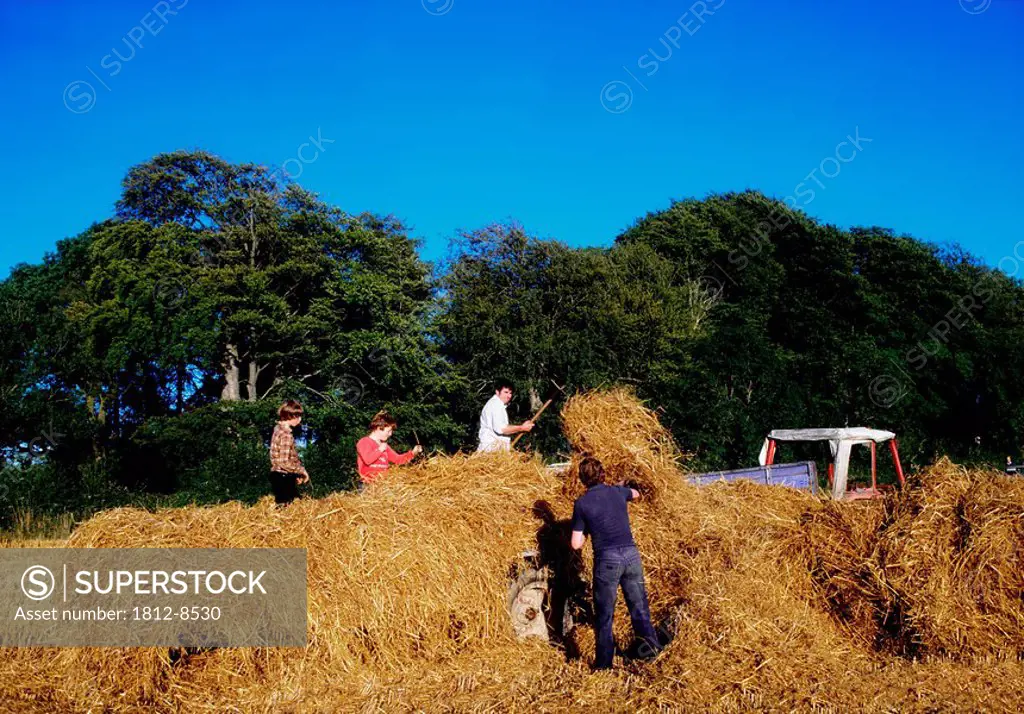 Straw baling, People working on a farm