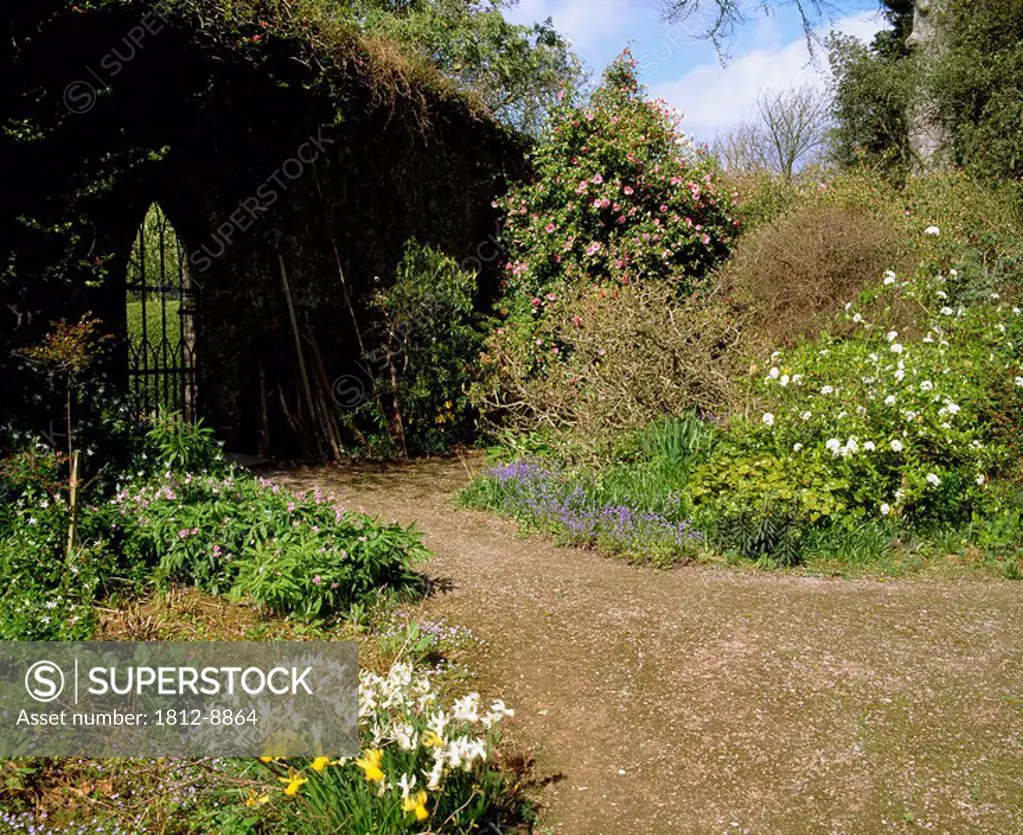 Ardsallagh House, Co Tipperary, Ireland, Gothic gate in the walled garden with Camelliaand Daffodils in the foreground during Summer
