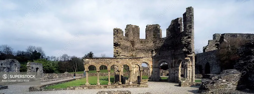 Mellifont Abbey, County Louth, Ireland, Ruins of historic abbey