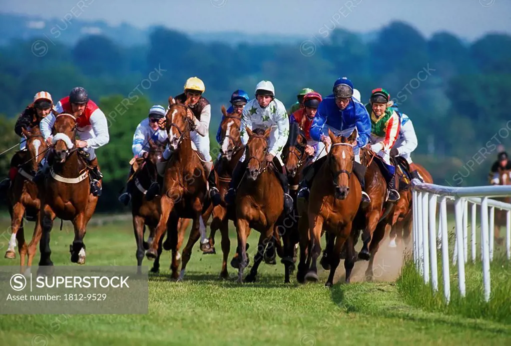 Horse Racing, Ireland, Jockeys racing their horses
