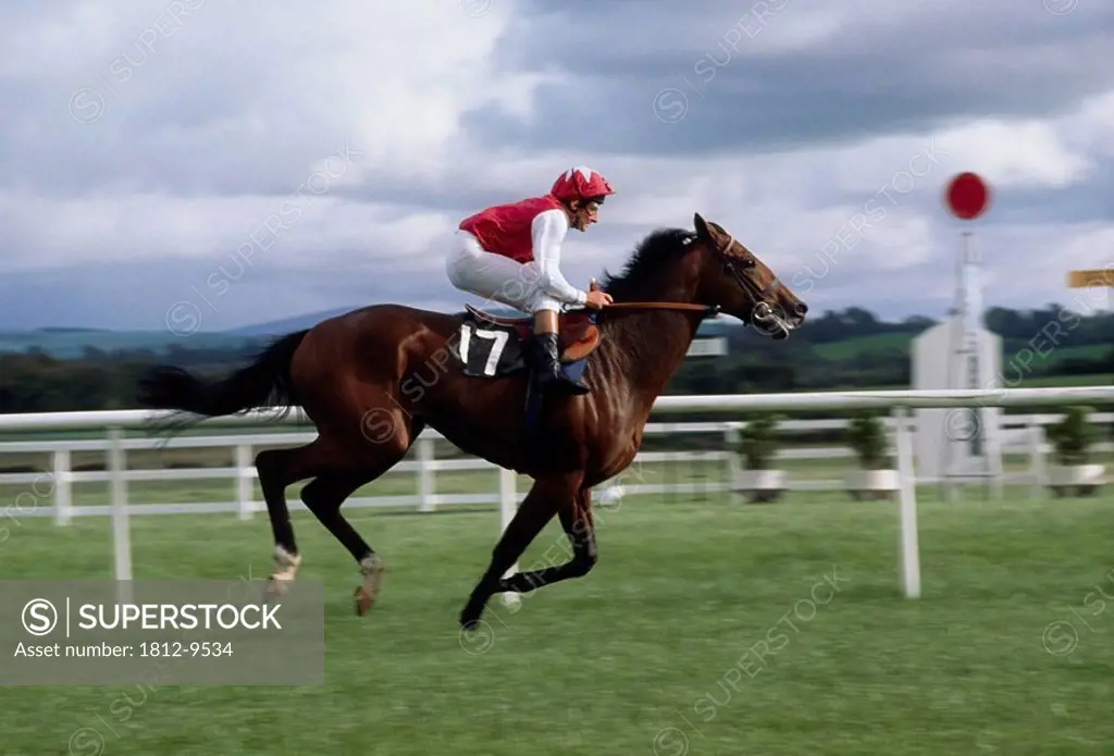 Naas, Co Kildare, Ireland, Horse racing