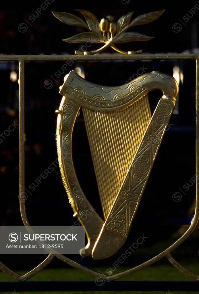 Irish Harp, Representation of a musical instrument
