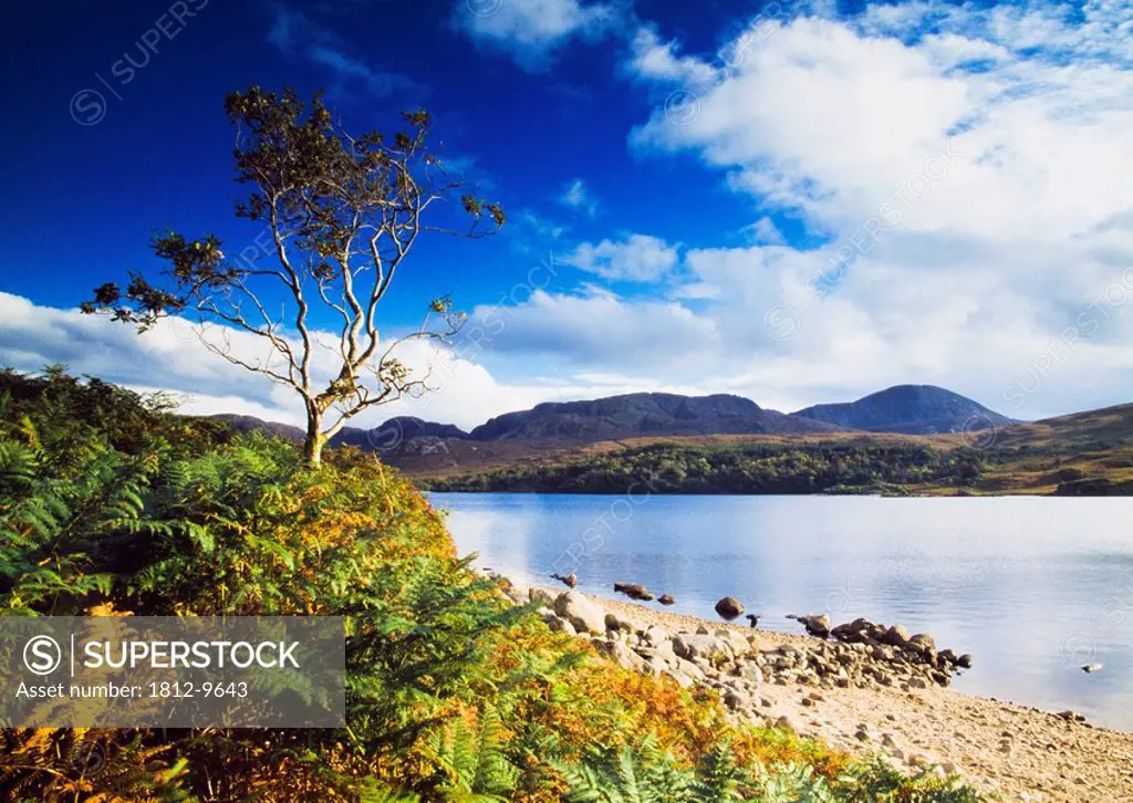 Lough Nacung, Errigal, County Donegal, Ireland, Lake scenic