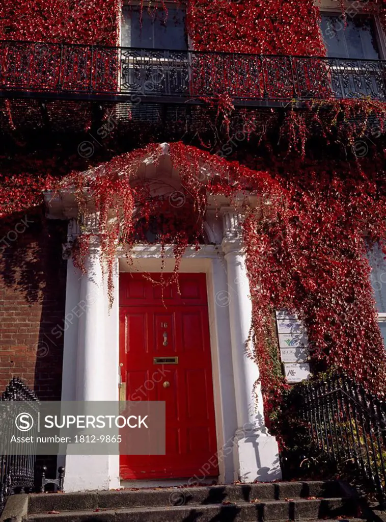 St. Stephen´s Green, Dublin City, Ireland, Georgian style house and doorway covered in red ivy