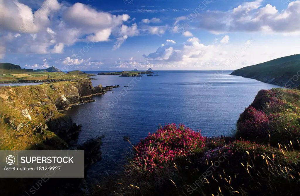 Foihomurrin Bay, Valentia Island, County Kerry, Ireland