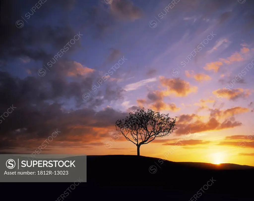 The Burren near Kinvara in County Clare, Ireland