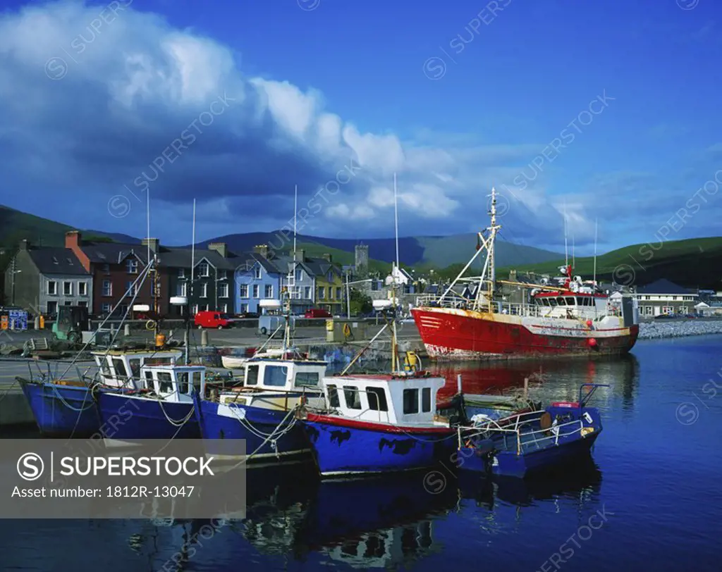 County Kerry, Dingle Harbour