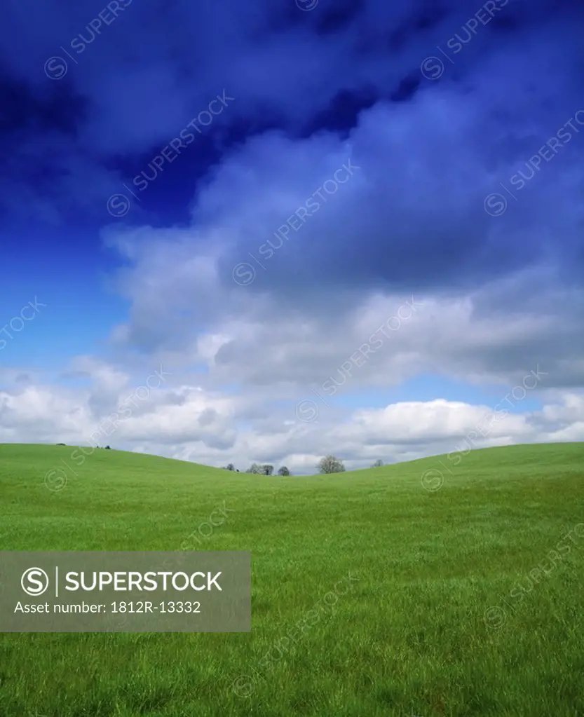 Pastoral, Green Meadow, Co Westmeath, Ireland