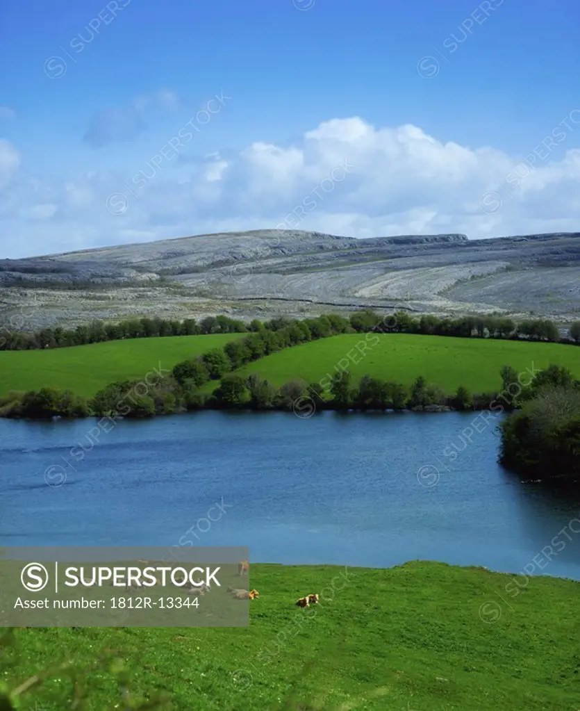 Co Clare, The Burren, Near Mullaghmore Mountain, Turlough in foreground, Ireland