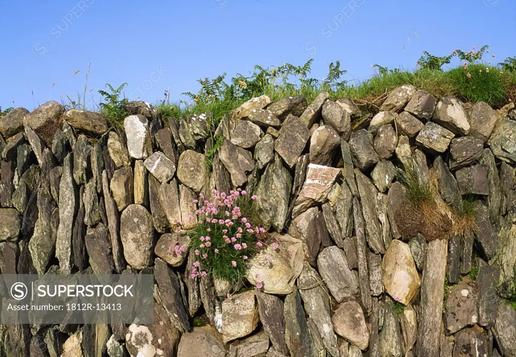 Traditional Farming, Stone Wall, West Cork, Ireland