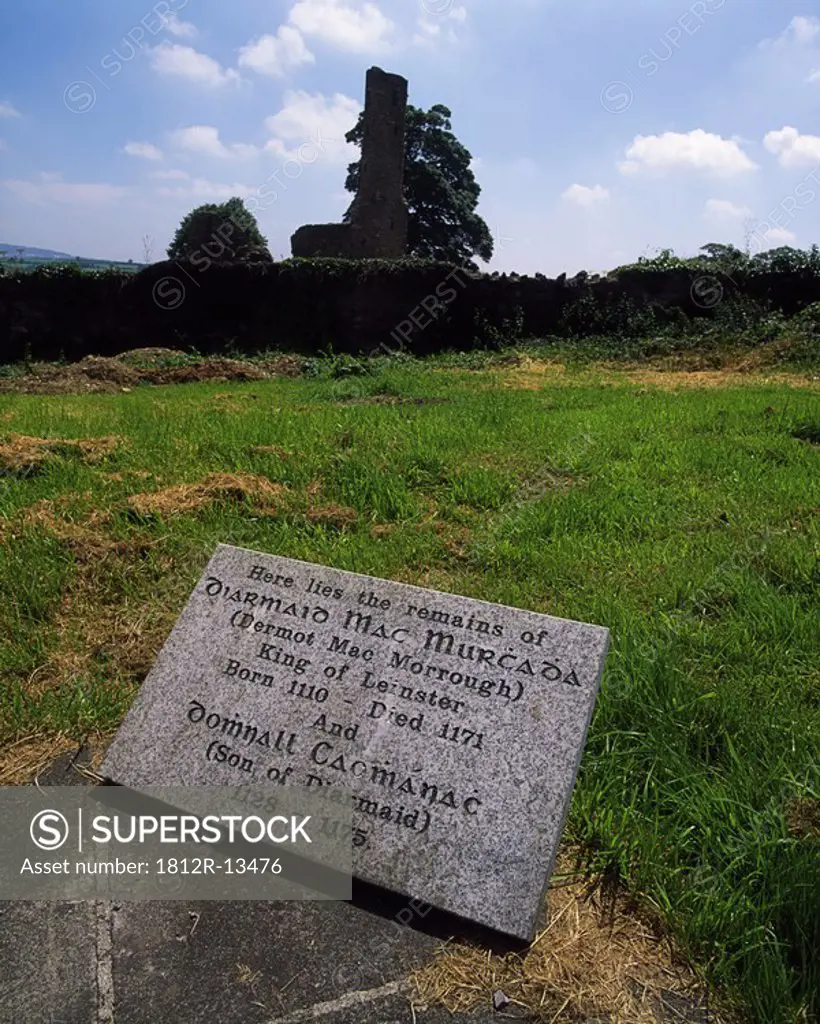 Co Wexford, Ferns, Grave of Dermot Mcmurrough, Ireland