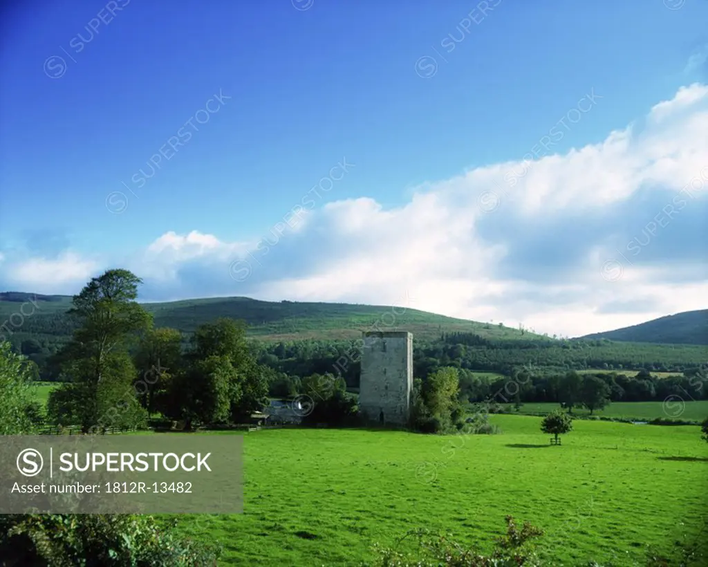 Co Tipperary, Suir Valley, At Kilsheelan, Clonmel, Ireland