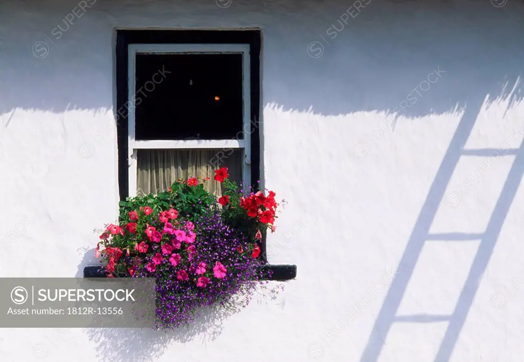 Traditional Cottage Windows, Ireland