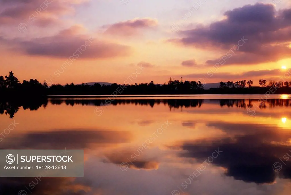 Co Wicklow, Vartry Reservoir, Ireland