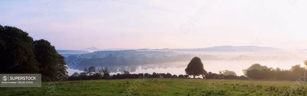 Morning mist, Vartry Lake, Co Wicklow, Ireland