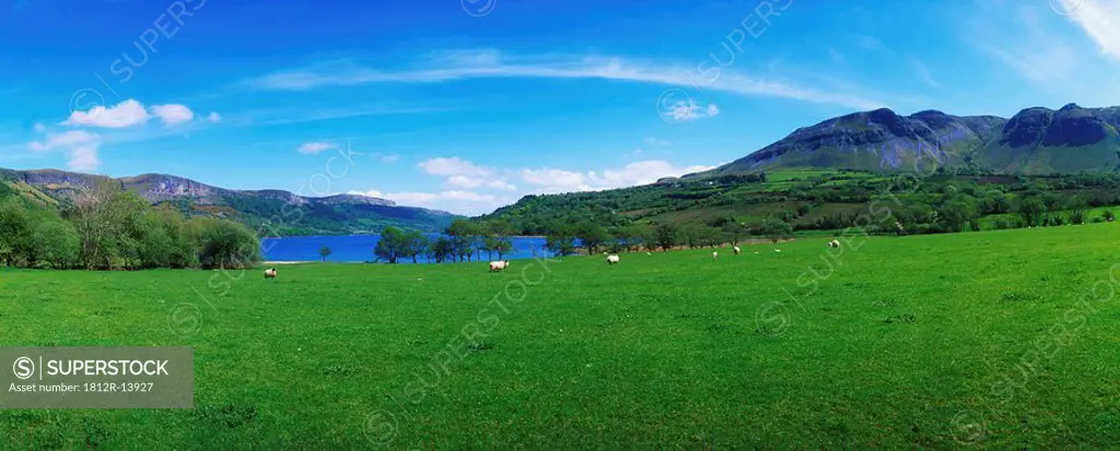 Co Sligo, Glencar Lake, Ireland