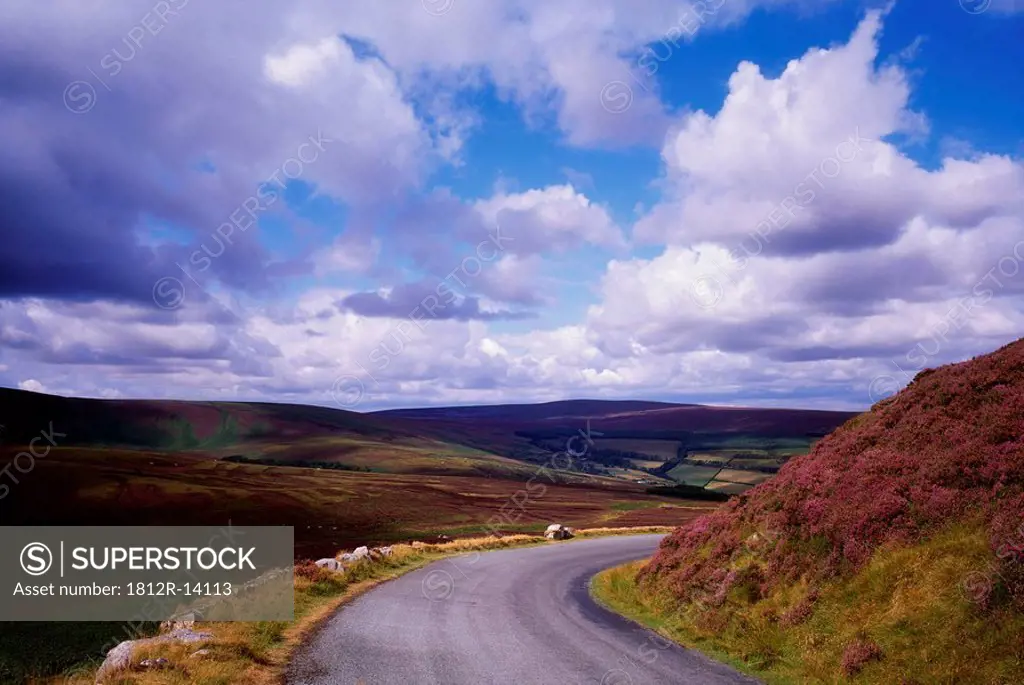 Country road near Glencree, Co Wicklow, Ireland