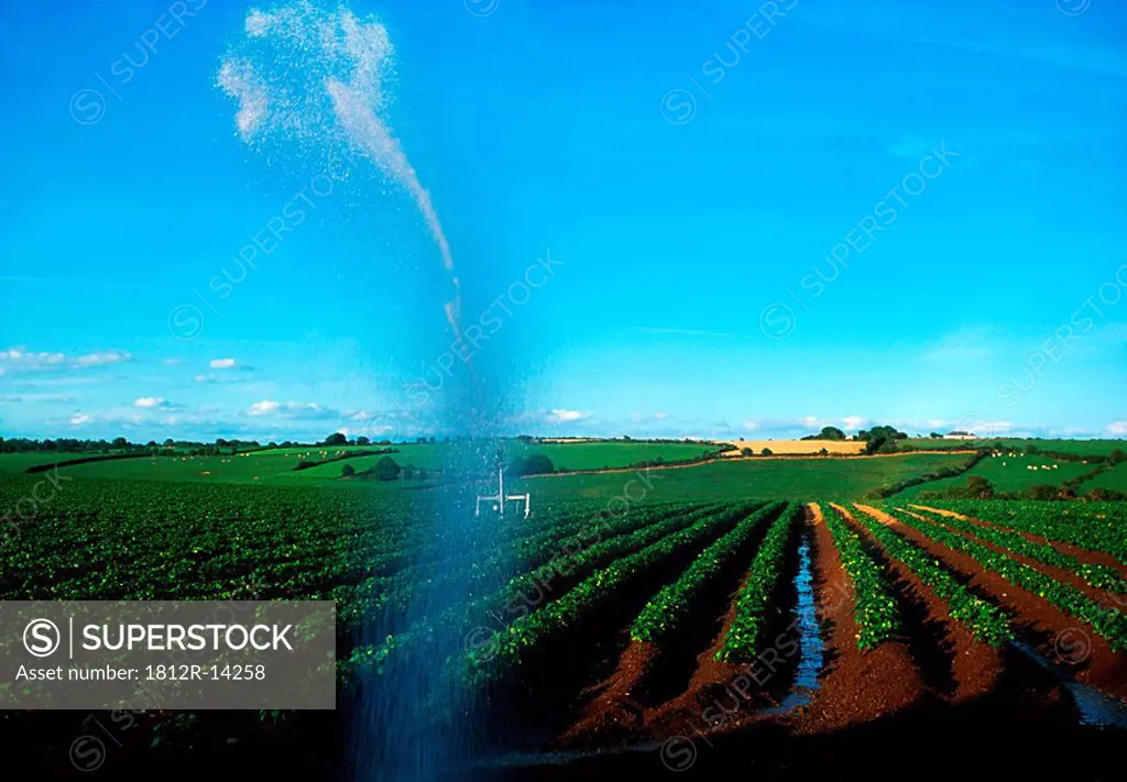 Farm irrigation, Co Waterford, Ireland