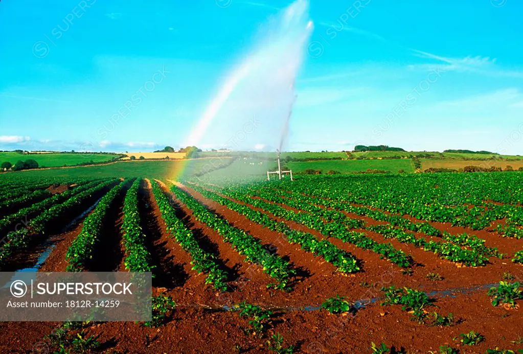 Farm irrigation, Co Waterford, Ireland
