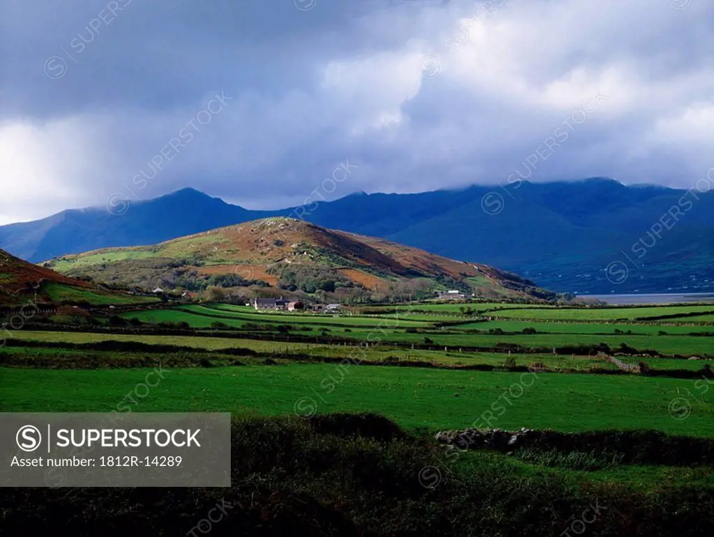 Farmscape near Mount Brandon, Dingle Peninsula, Co Kerry, Ireland