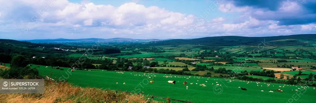 Glenelly Valley, Co Tyrone, Ireland