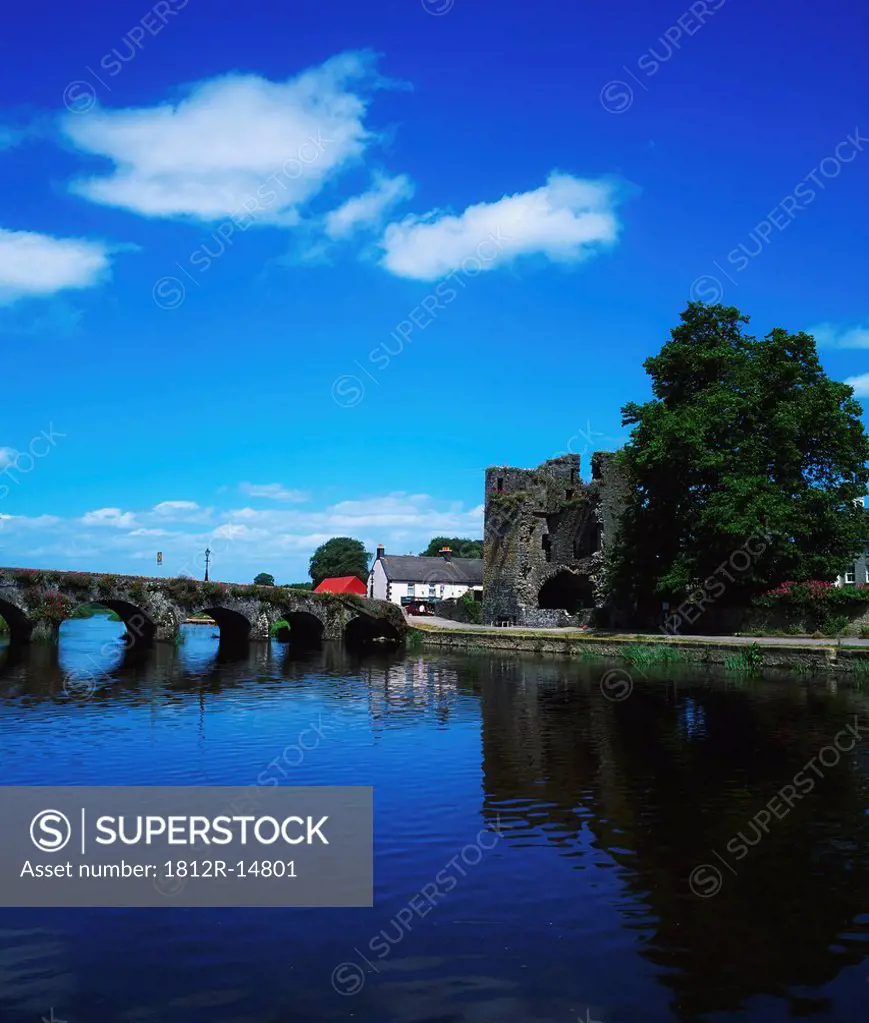Leighlinbridge, River Barrow, County Carlow, Ireland