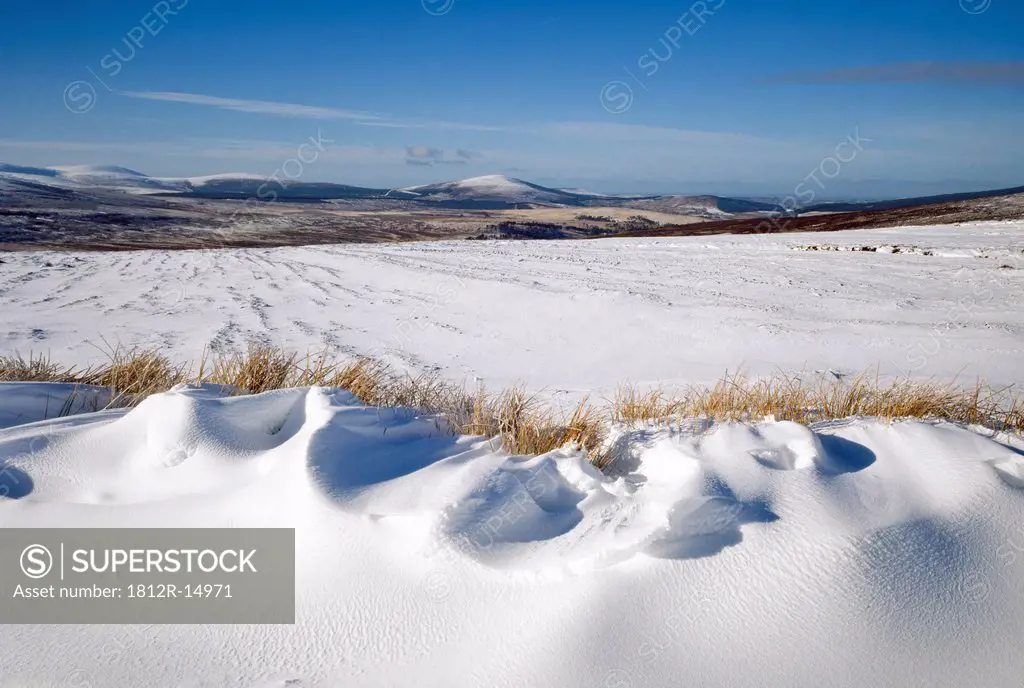 Irish Snowscenes, Hills, Co Wicklow