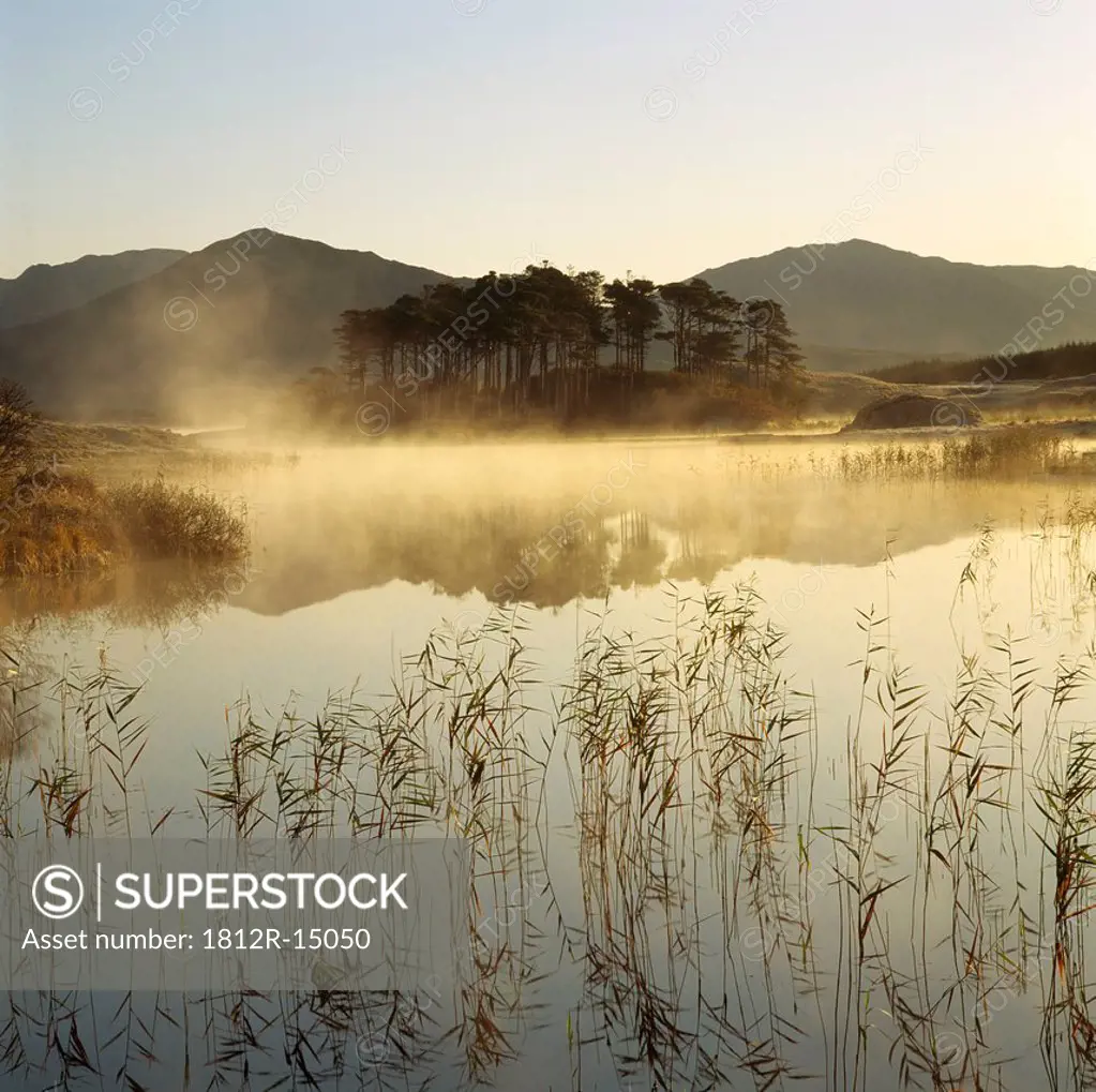 Mist Rising Off A Lake