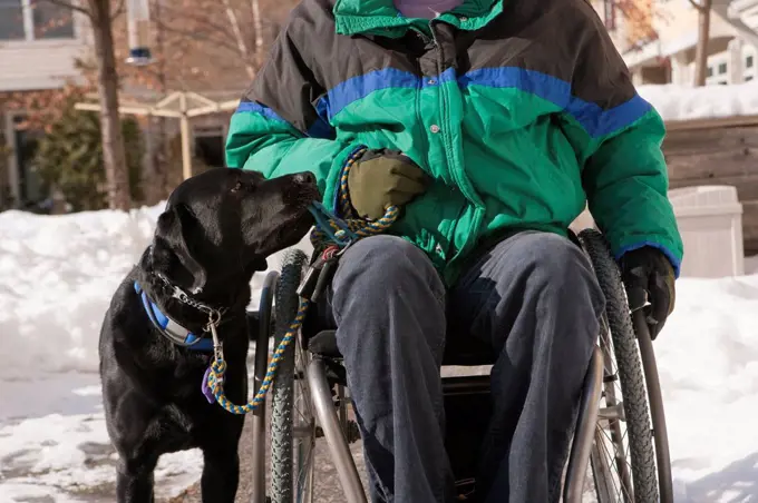 Woman with multiple sclerosis in a wheelchair with a service dog in the snow