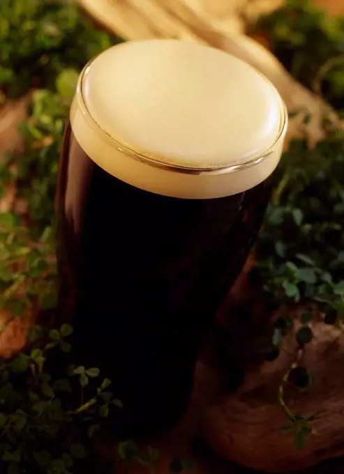 Pint of stout, Beer surrounded by shamrocks