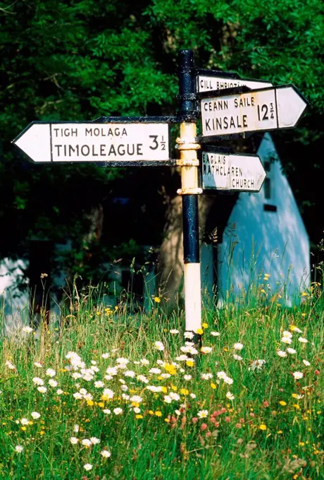 Directional Signs, Co Cork, Ireland