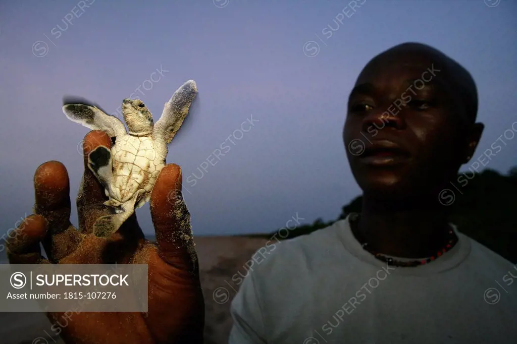 Africa, Guinea_Bissau, Black man holding baby turtle