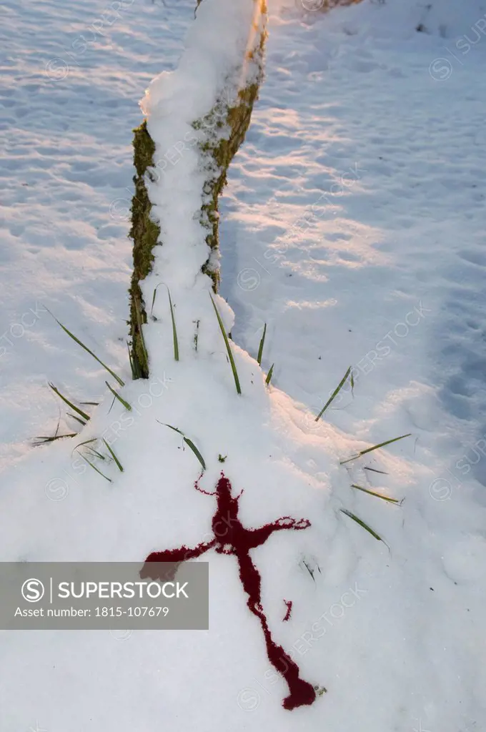 Europe, Germany, Crime scene with bloodstained cross in snow