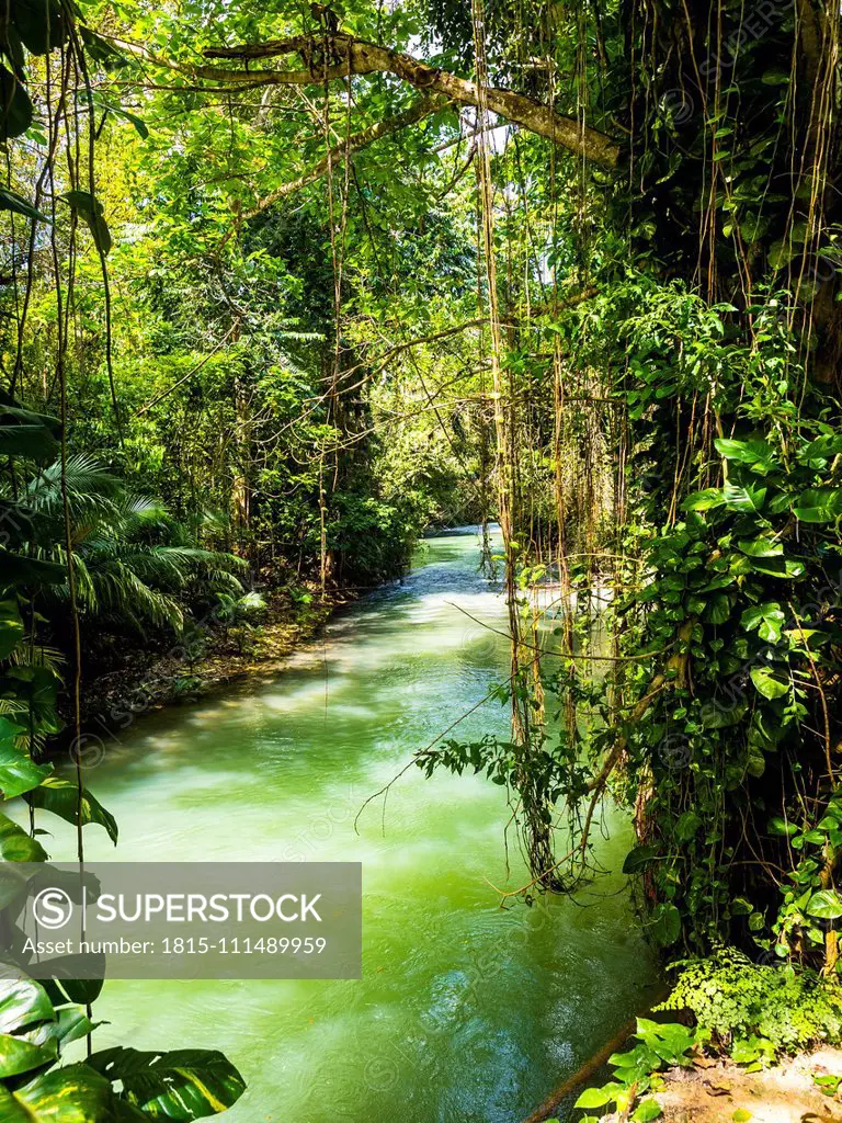 Jamaika, Region Montego Bay; Martha Brae river