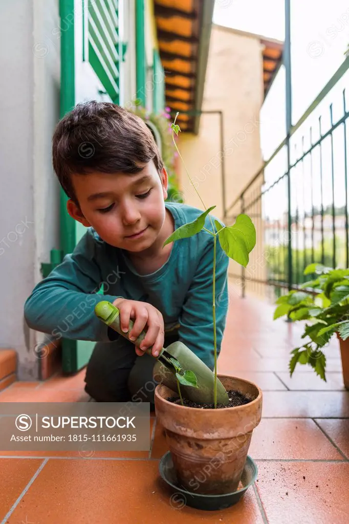 Portrait of little boy gardening on balcony