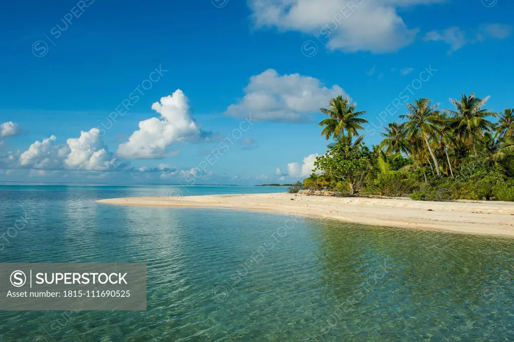 French Polynesia, Tuamotus, Tikehau, palm beach