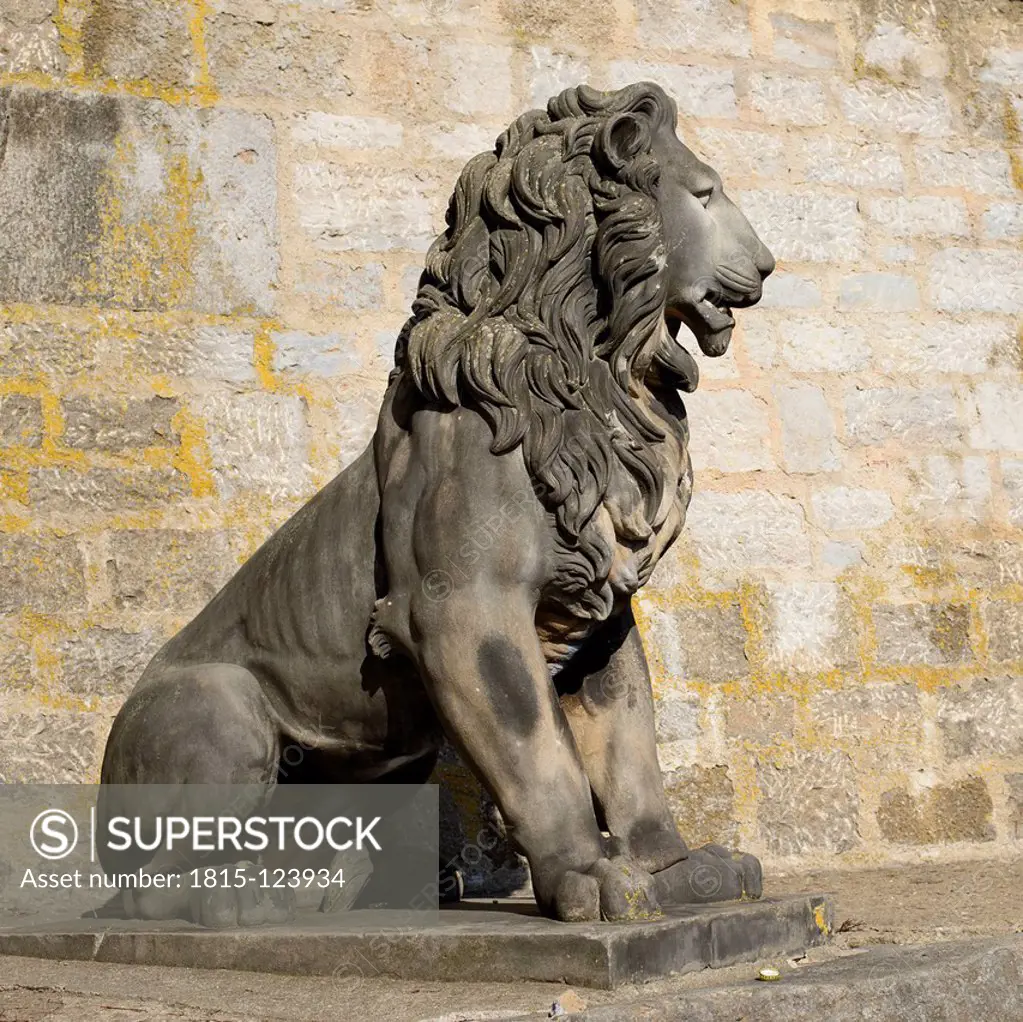Germany, Wuerzberg, Statue of lion at River Main