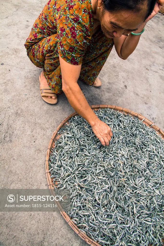 Vietnam, Hanoi, Woman with dried fish