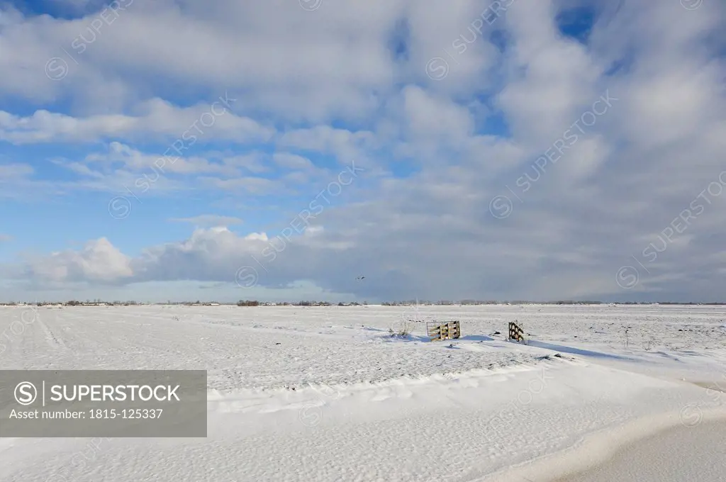 Netherlands, View of Polder covered with snow betwween Gouda and Bodegraven