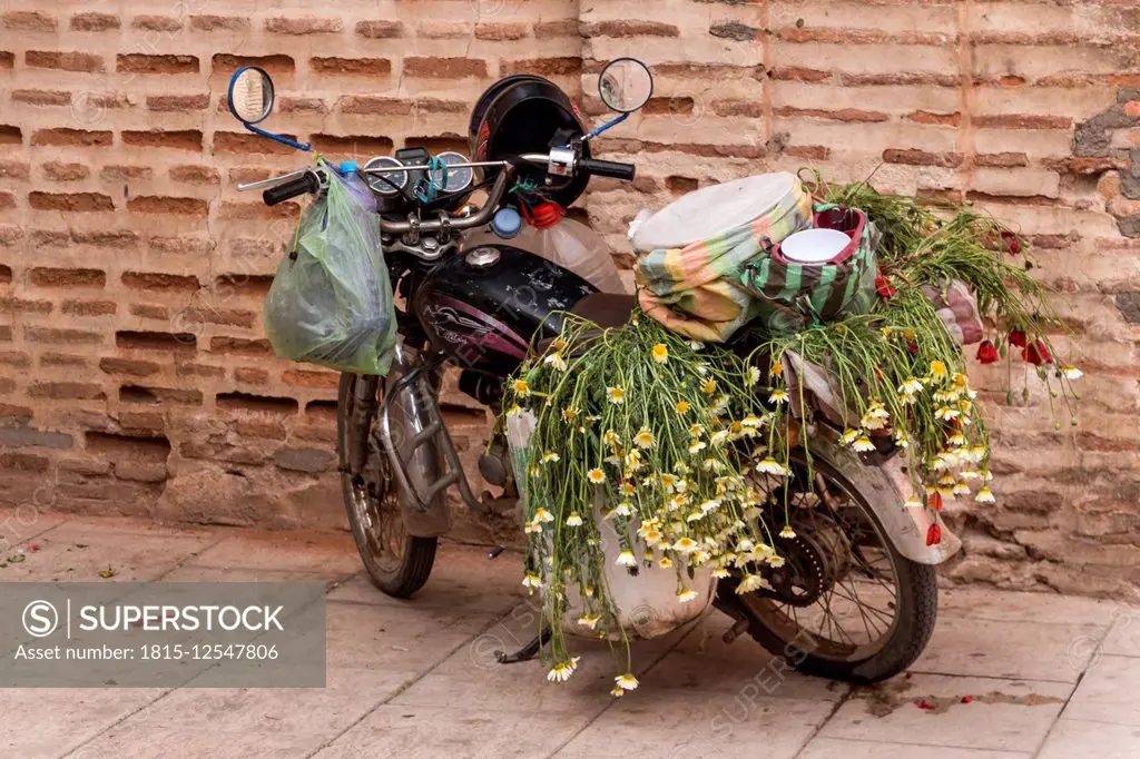 Morocco, Marrakesh, parked moped loaded with bags and flowers