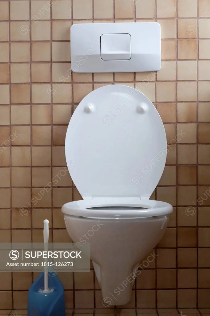 Germany, Interior of toilet with toilet brush